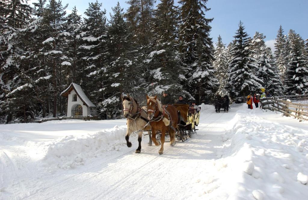 Krosbacher Hof Seefeld in Tirol Extérieur photo
